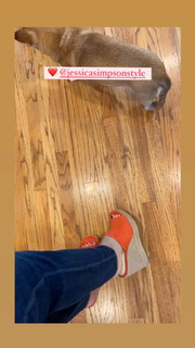 Angela Kinsey feet photo thumbnail