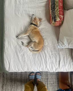 Emily Wickersham feet photo 4