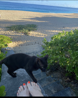Ayelet Zurer feet photo 1