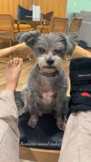 Francia Raisa feet photo thumbnail