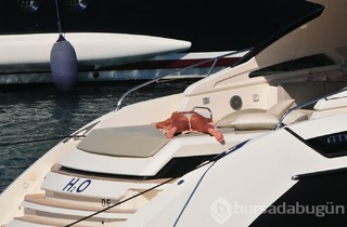 Pinar Altug feet photo thumbnail