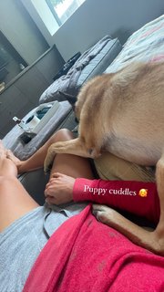 Danica Patrick feet photo thumbnail