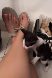 Claudia Lizaldi feet photo thumbnail