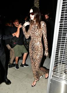 Kendall Jenner feet photo thumbnail