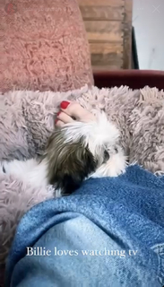 Ashley Benson feet photo thumbnail