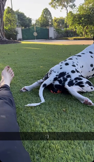 Amanda Cerny feet photo thumbnail