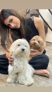Mouni Roy feet photo thumbnail