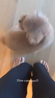 Olivia Culpo feet photo thumbnail