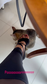 Franciely Freduzeski feet photo thumbnail