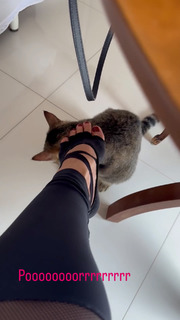 Franciely Freduzeski feet photo thumbnail