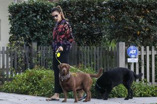 Alessandra Ambrosio feet photo thumbnail