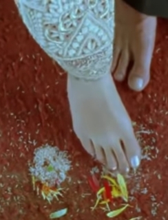 Dia Mirza feet photo thumbnail