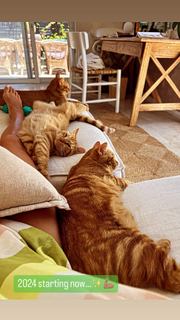 Kate Walsh feet photo thumbnail