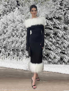 Kendall Jenner feet photo thumbnail