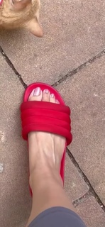 Trisha Krishnan feet photo thumbnail