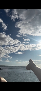 Veronica Maya feet photo thumbnail