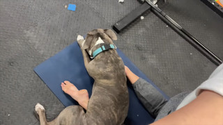 Rachel Ballinger feet photo thumbnail