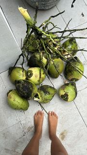 Lais Ribeiro feet photo thumbnail