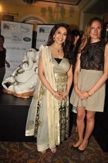 Madhuri Dixit feet photo thumbnail