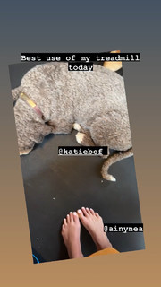 Jordana Brewster feet photo thumbnail