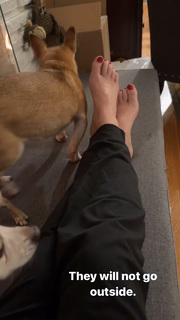Angela Kinsey feet photo thumbnail
