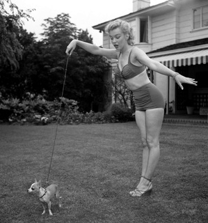 Marilyn Monroe feet photo thumbnail