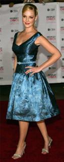 Katherine Heigl feet photo thumbnail