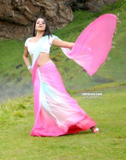 Trisha Krishnan feet photo thumbnail