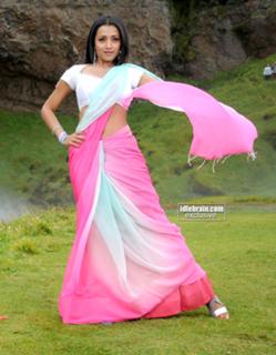 Trisha Krishnan feet photo thumbnail