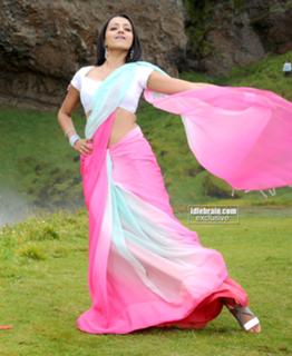 Trisha Krishnan feet photo thumbnail