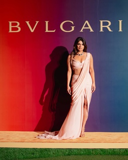 Priyanka Chopra Jonas feet photo thumbnail