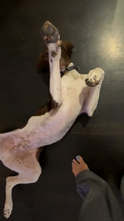 Heidi Klum feet photo thumbnail