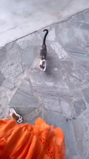 Edyta Górniak feet photo thumbnail