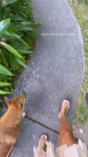 Edyta Górniak feet photo thumbnail