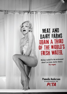 Pamela Anderson feet photo thumbnail