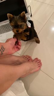 Franciely Freduzeski feet photo thumbnail