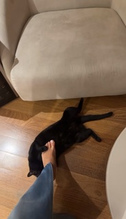 Kéfera Buchmann feet photo thumbnail