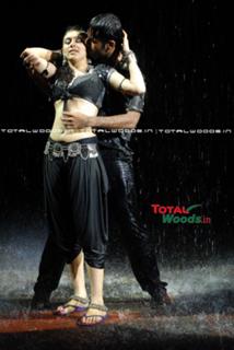 Hansika Motwani feet photo thumbnail