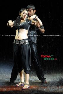 Hansika Motwani feet photo thumbnail