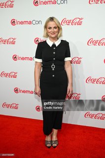 Amy Poehler feet photo 5