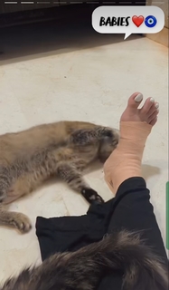 Zareen Khan feet photo thumbnail