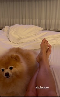 Flávia Alessandra feet photo thumbnail