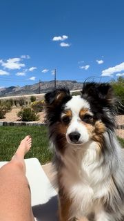 Holly Holm feet photo thumbnail