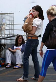 Sophia Bush feet photo thumbnail