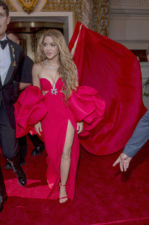 Shakira feet photo thumbnail