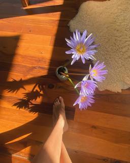Isabel Lucas feet photo 5