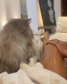 Kate Beckinsale feet photo thumbnail