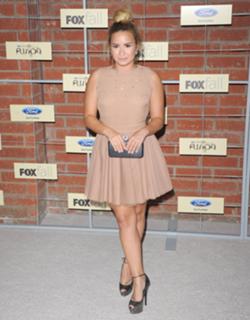 Demi Lovato feet photo thumbnail