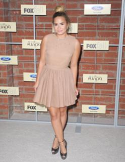 Demi Lovato feet photo thumbnail