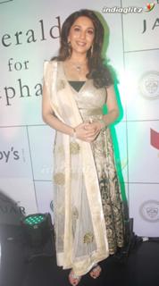Madhuri Dixit feet photo thumbnail